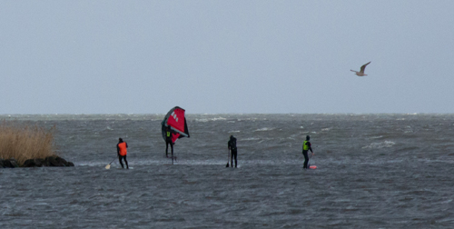 Downwind-SUP-Foil-crew